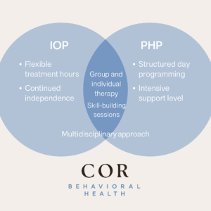 What Kinds of Mental Health Issues Are Treated in PHP and IOP
